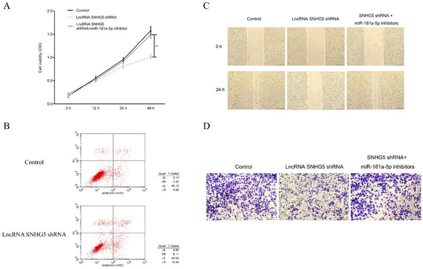 J Cancer Image