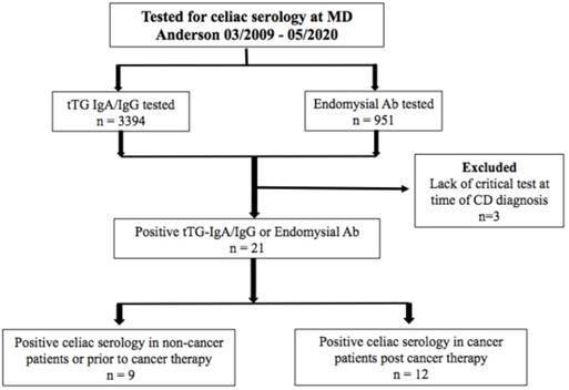 J Cancer Image