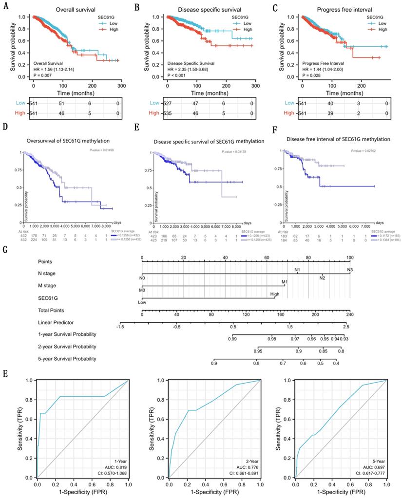 J Cancer Image