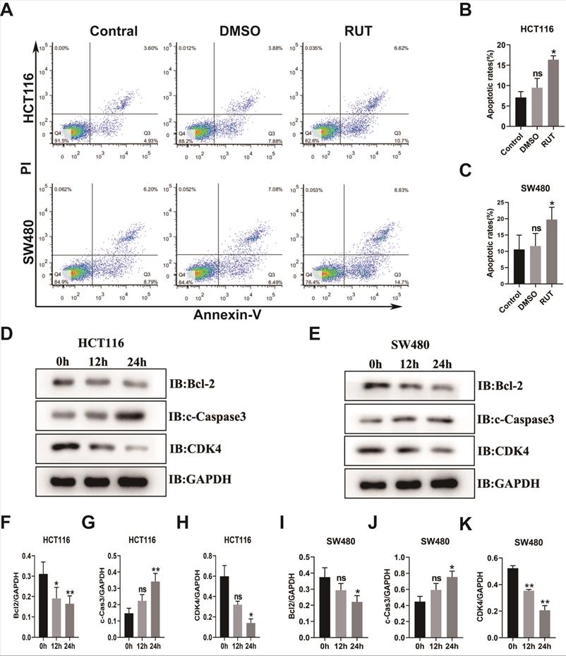 J Cancer Image