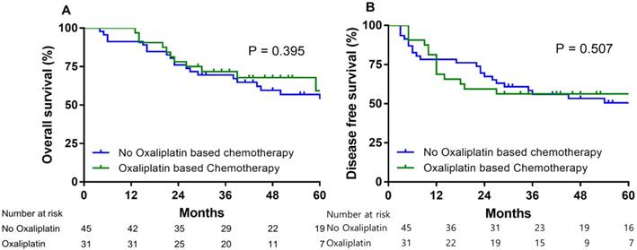 J Cancer Image