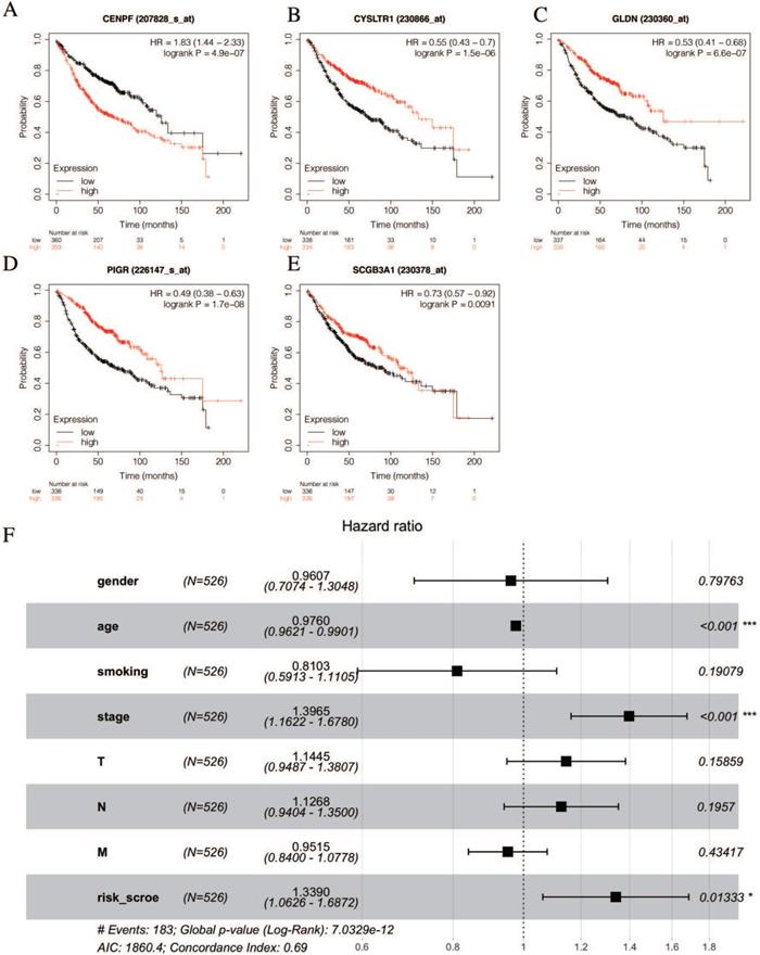 J Cancer Image