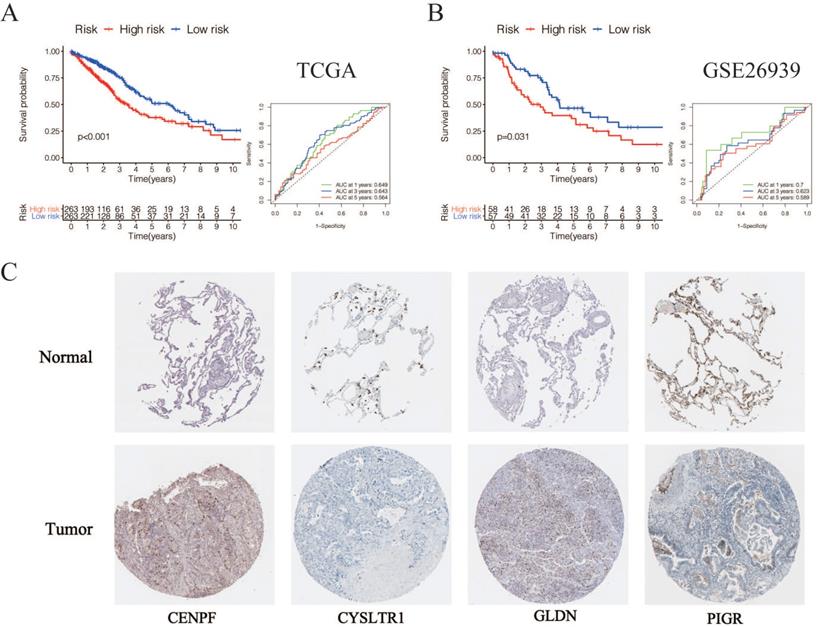 J Cancer Image