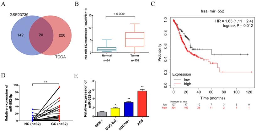 J Cancer Image