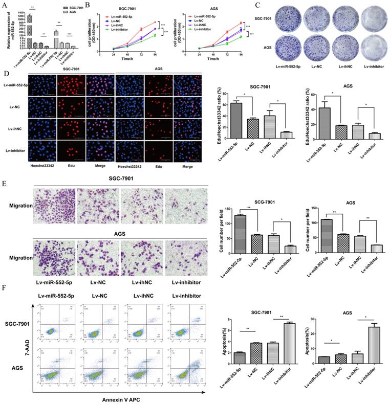 J Cancer Image