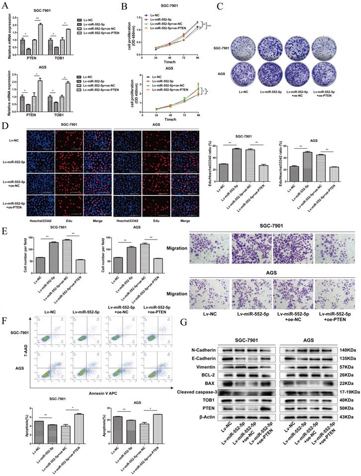 J Cancer Image