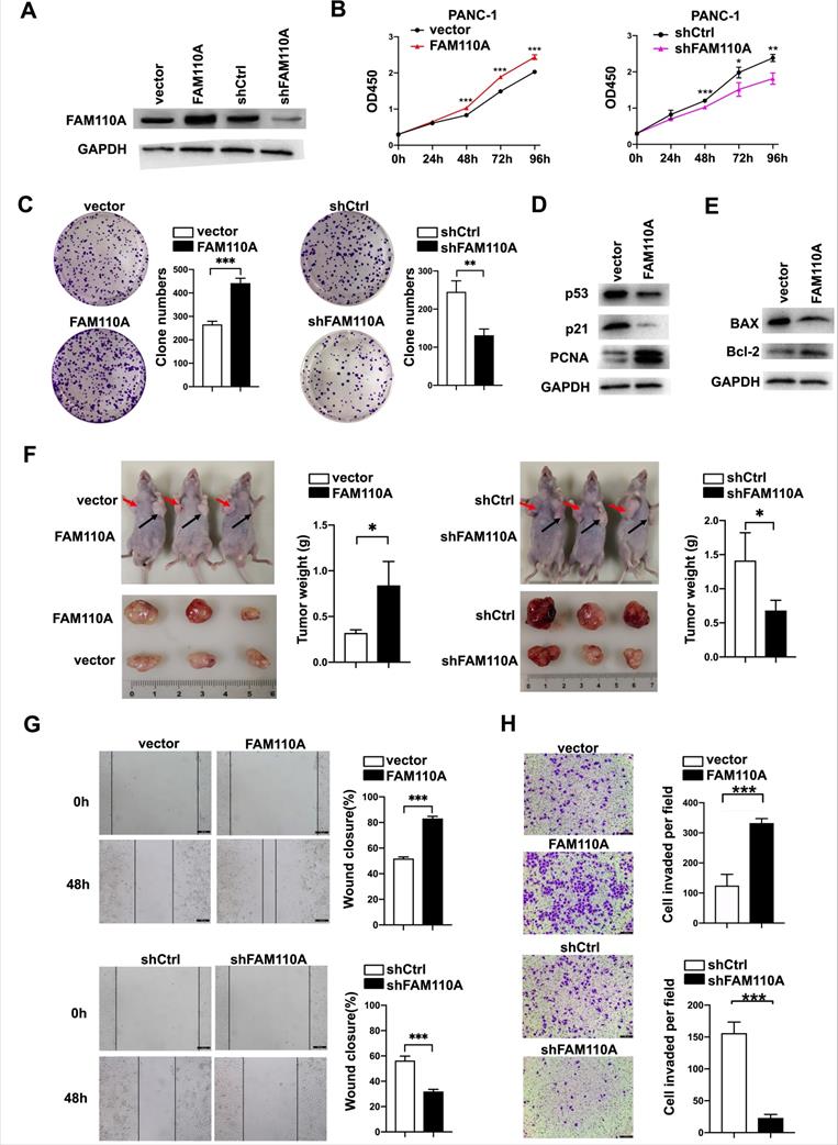 J Cancer Image