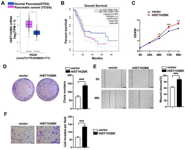 J Cancer Image