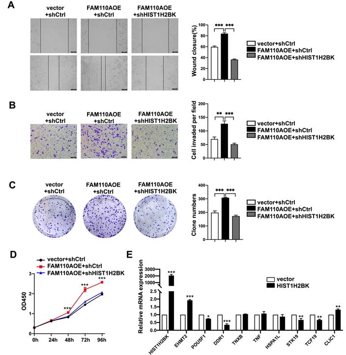 J Cancer Image