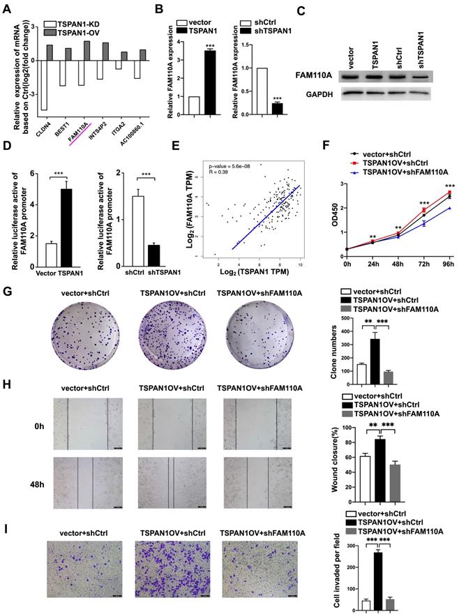 J Cancer Image