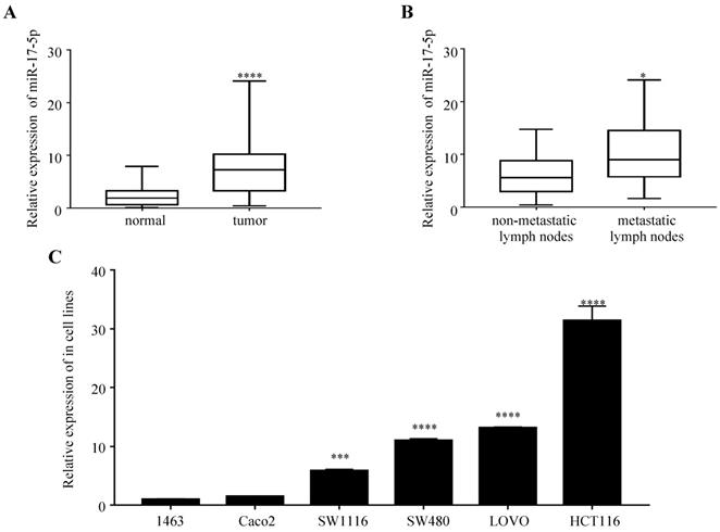 J Cancer Image