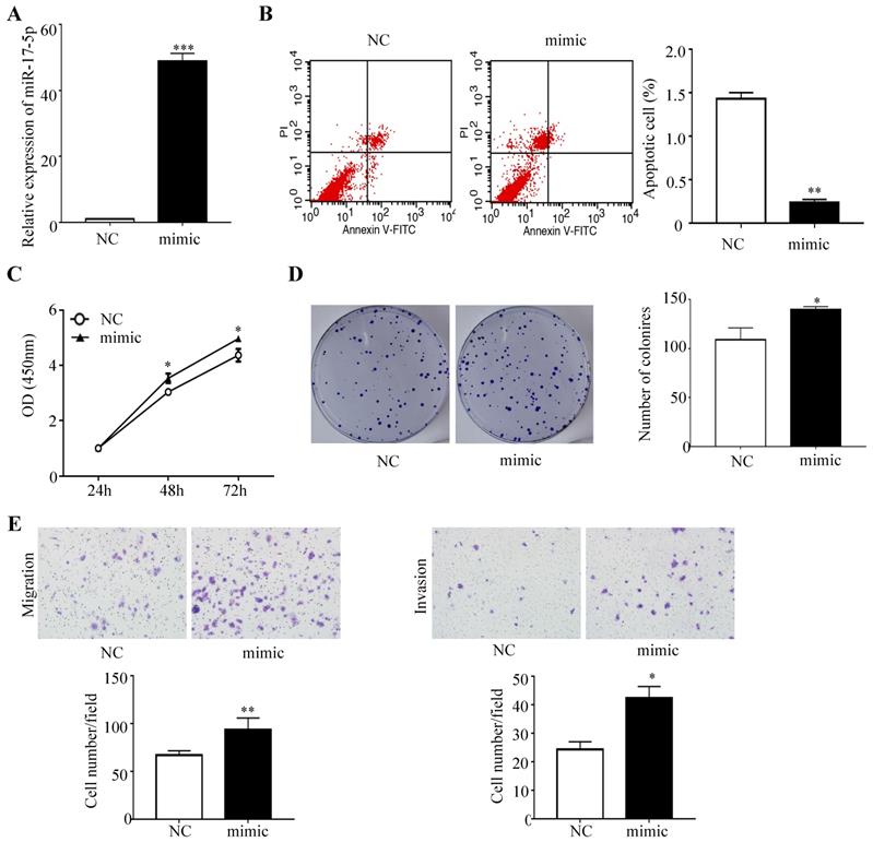 J Cancer Image