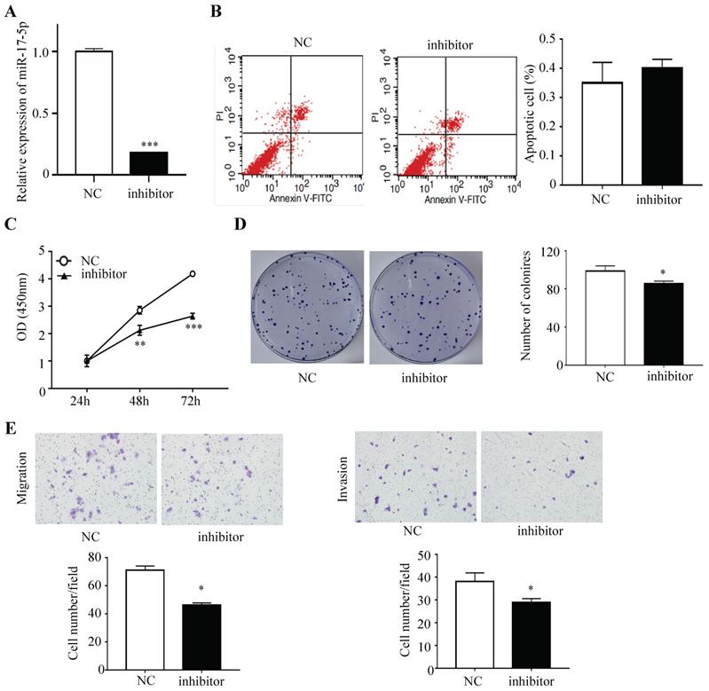 J Cancer Image