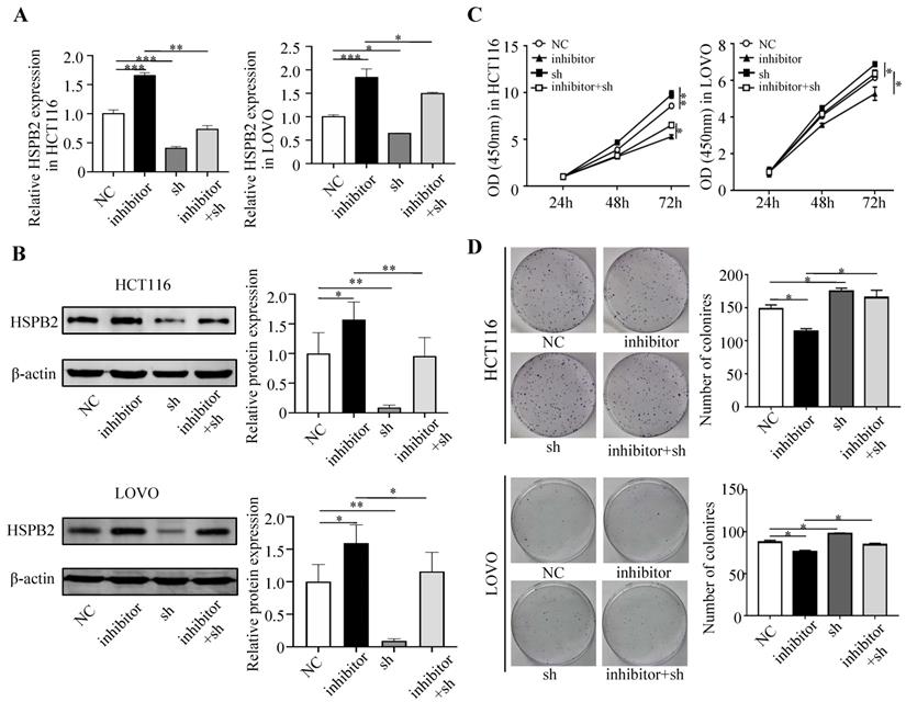 J Cancer Image