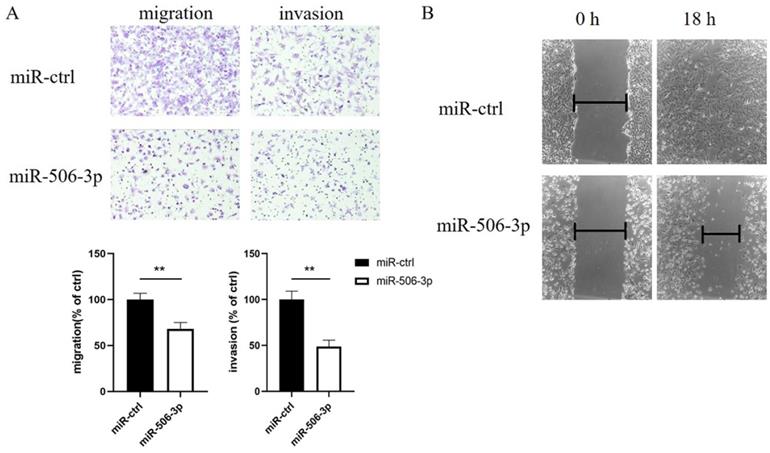 J Cancer Image