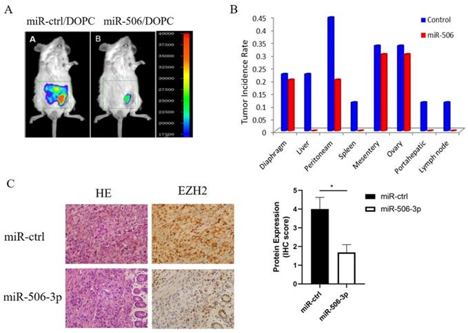 J Cancer Image