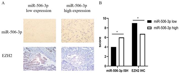 J Cancer Image