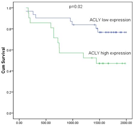 J Cancer Image