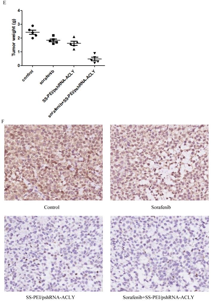 J Cancer Image