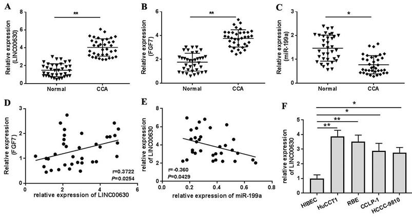 J Cancer Image