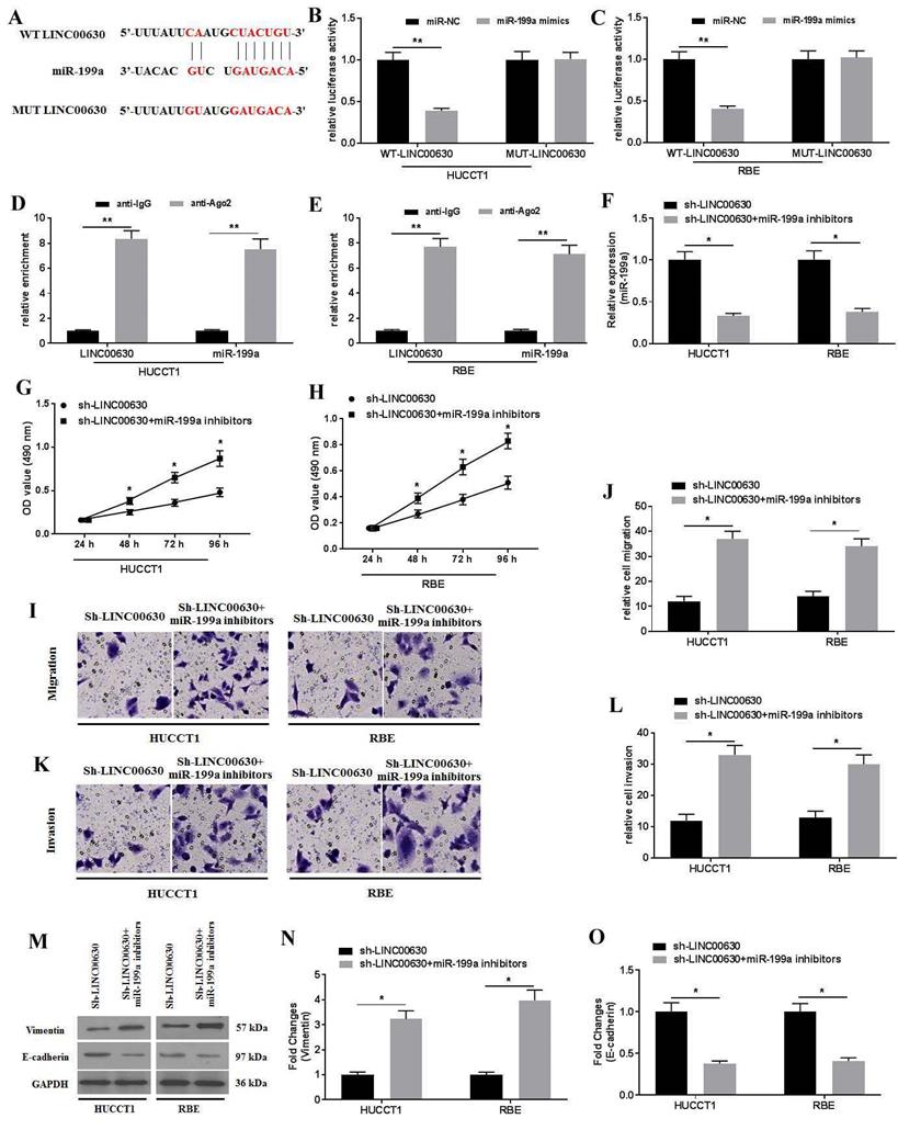 J Cancer Image