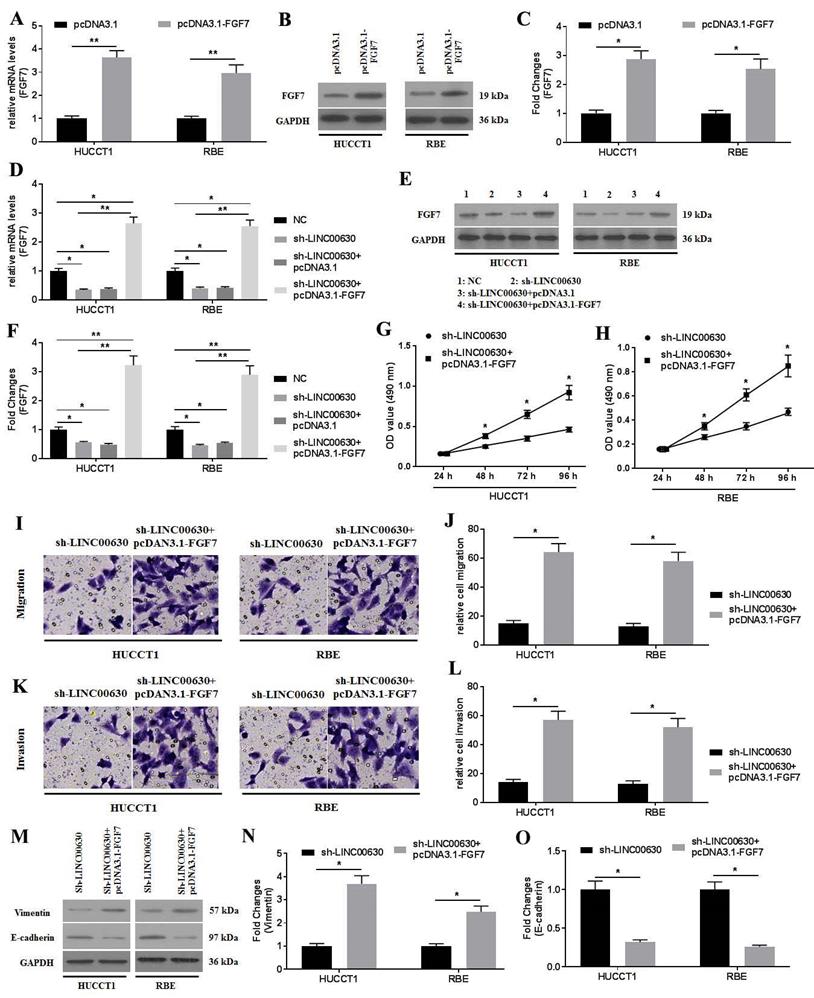 J Cancer Image