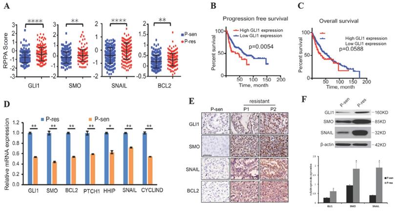 J Cancer Image