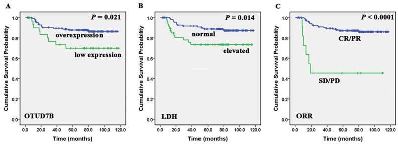 J Cancer Image