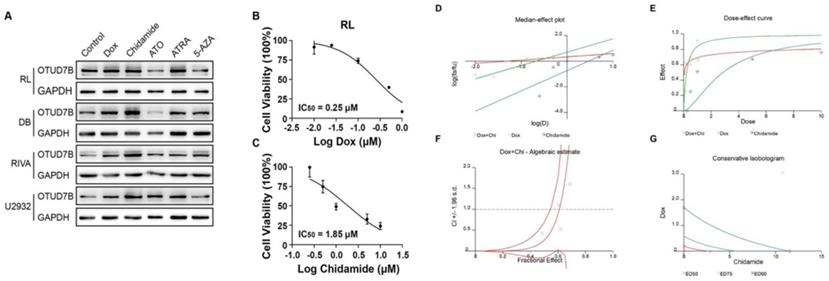 J Cancer Image