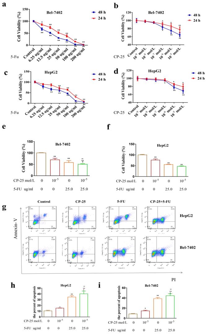 J Cancer Image