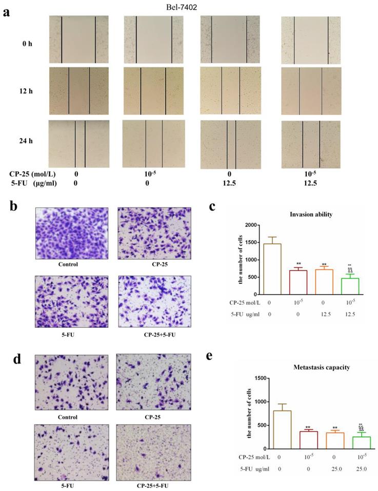 J Cancer Image