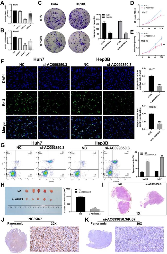 J Cancer Image