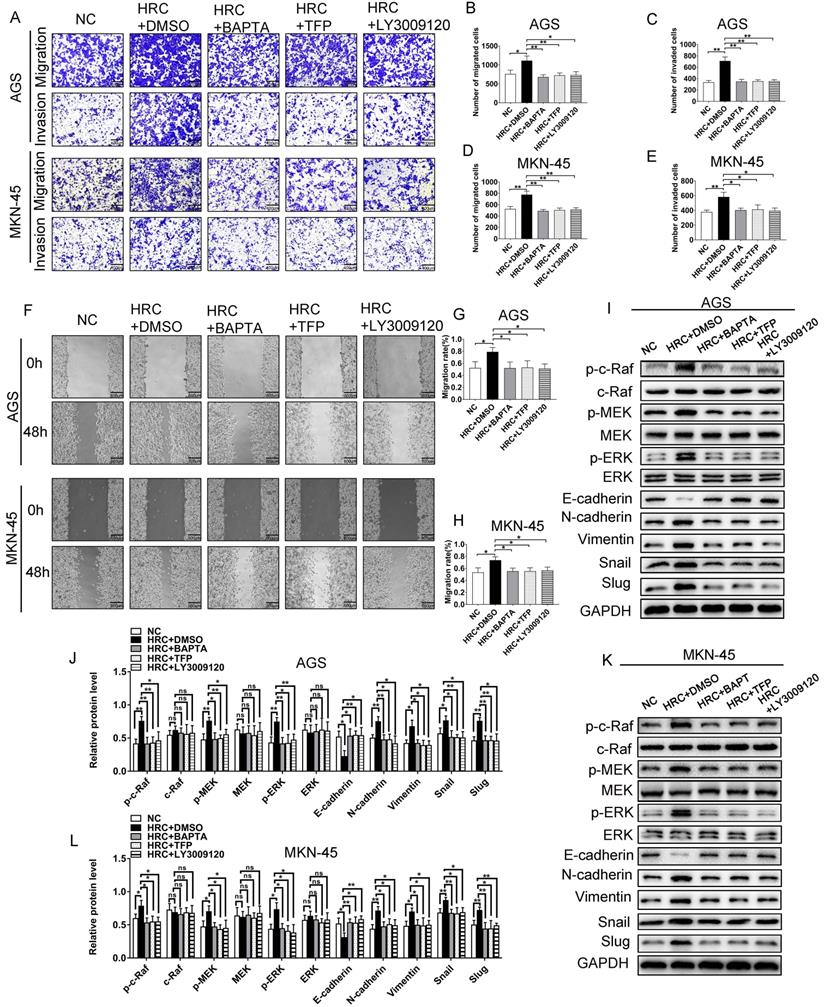 J Cancer Image