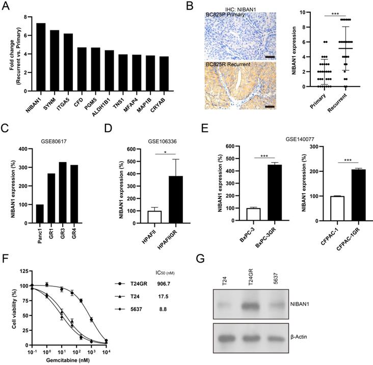 J Cancer Image