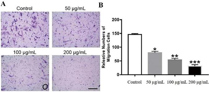 J Cancer Image