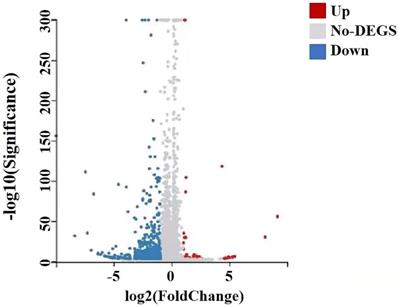 J Cancer Image