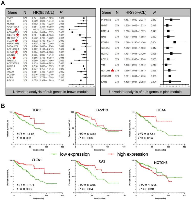 J Cancer Image