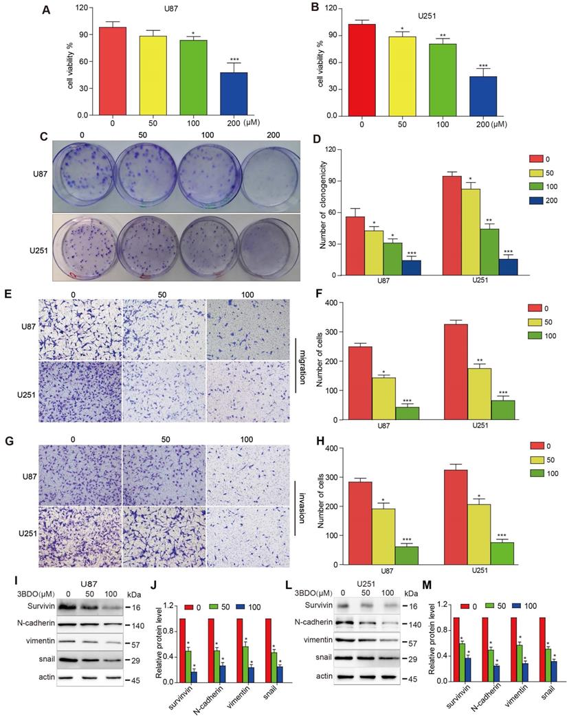 J Cancer Image