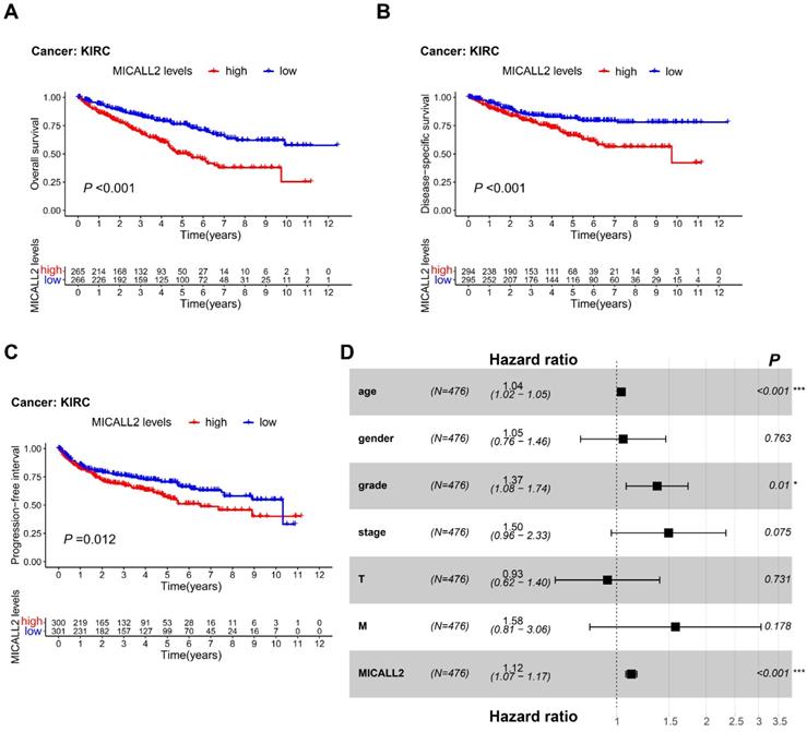 J Cancer Image