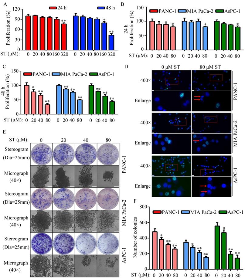 J Cancer Image