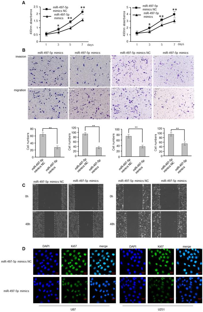 J Cancer Image