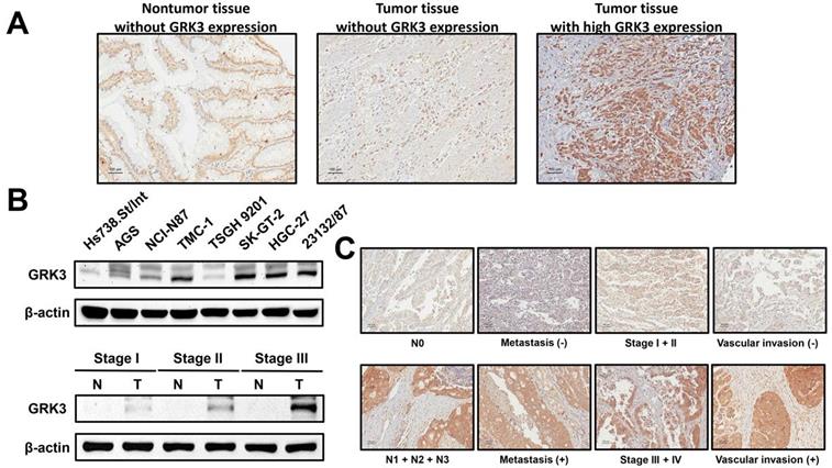 J Cancer Image