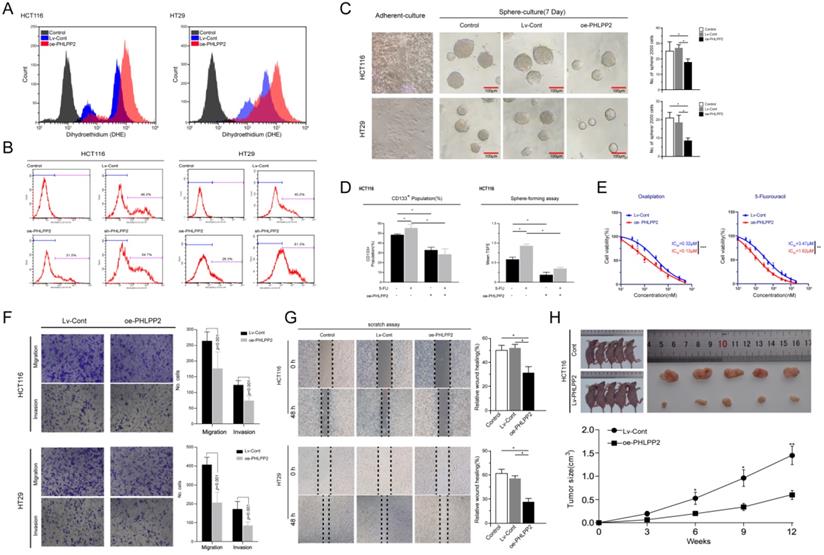 J Cancer Image