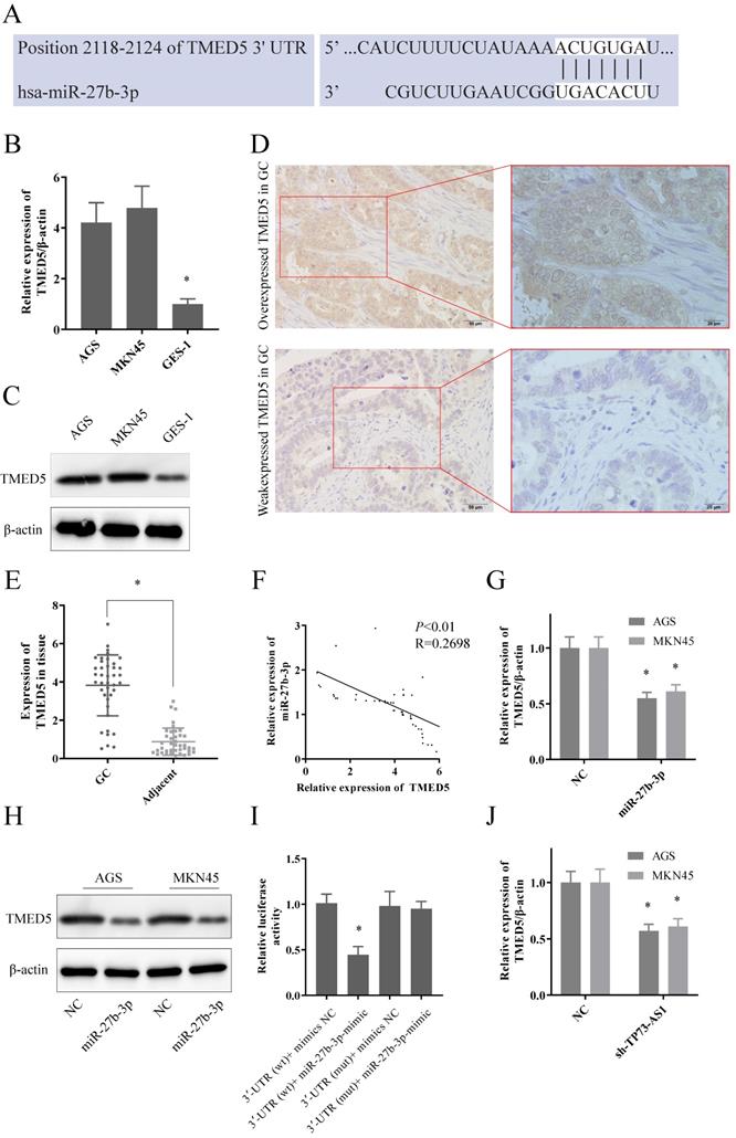 J Cancer Image