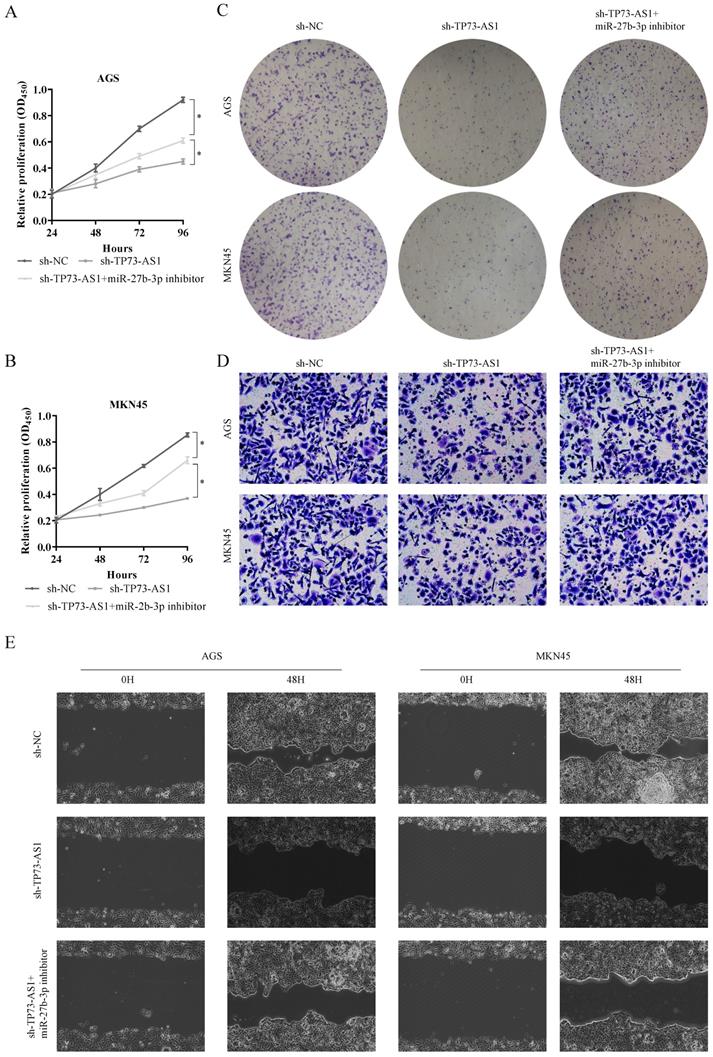 J Cancer Image