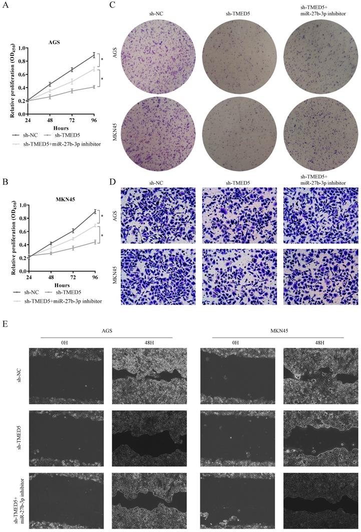 J Cancer Image