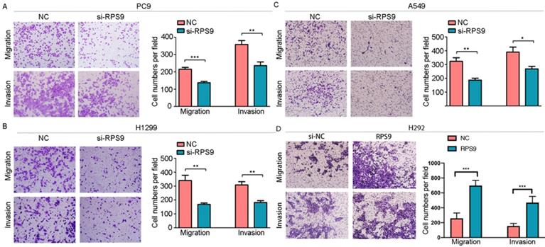 J Cancer Image