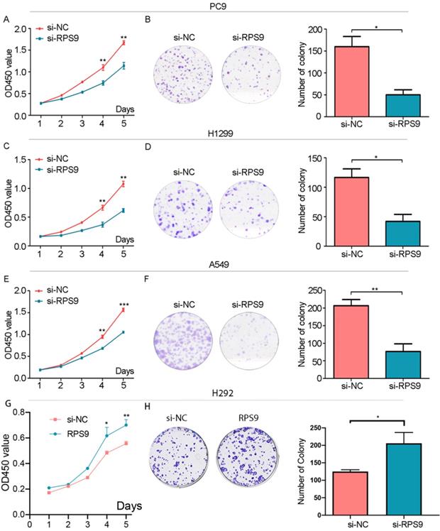 J Cancer Image