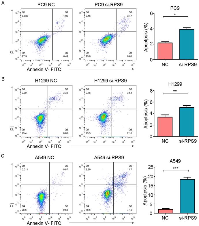 J Cancer Image