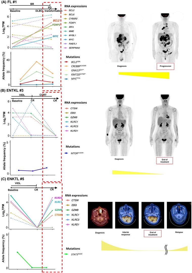 J Cancer Image